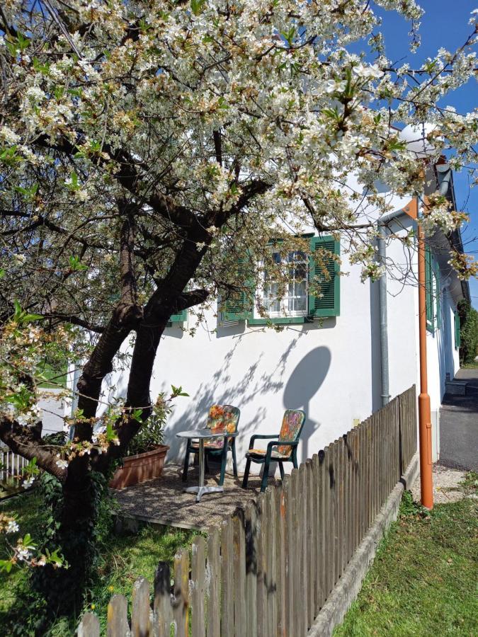 Ferienhaus Im Thermenland Ilz Exterior photo