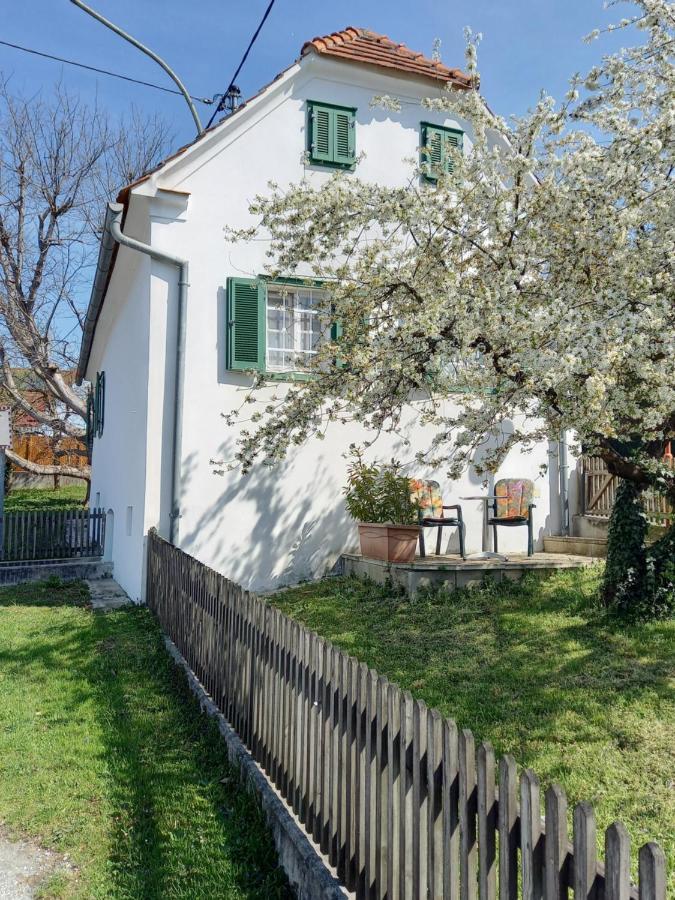 Ferienhaus Im Thermenland Ilz Exterior photo